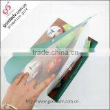 Factory Direct Cheap Wholesale pp Plastic File Folder /custom File Folder