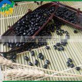 Chinese Black Kidney Beans thumbnail-2