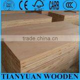 Oak/Okoume/Bintangor/Poplar Face Falcata Core Blockboard thumbnail-2