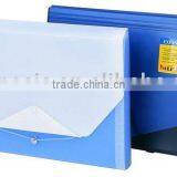 2010 New-Expanding File Bag