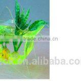 Custom Design Clear Acrylic Star-shaped Desktop Fish Tank Hot Selling