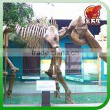 The Animal Skeleton for Sale thumbnail-1