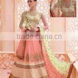 Sumptuous Hot Pink Embroidered Work Net A Line Lehenga Choli/buy Designer Lehengas Online thumbnail-4
