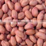 Chinese Light Peanut Kernel With Red Skin thumbnail-2