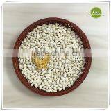 JSX Raw White Kidney Beans On Sale thumbnail-4