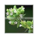 100% NATURAL & PURE OREGANO OIL thumbnail-2