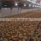 Chicken Feed Pan System for Broiler