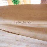 PROVIDING SHORT VENEER WITH TOP GRADE thumbnail-2