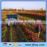 4GL-90 Hand Pulling Mini Pepper Harvester thumbnail-1