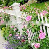 Outdoor Wooden Garden Fence thumbnail-2