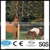 Grassland Fence for Animal Security (China Factory) thumbnail-1