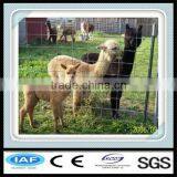 Low Carbon Steel Wire Horse Wire Mesh Fence Made in China thumbnail-6
