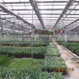 Green Houses for Agriculture thumbnail-2