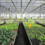 Galvanized Steel Frame Greenhouse thumbnail-2