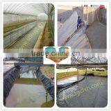 HDPE Liner Geomembrane for Shrimp Pond thumbnail-1