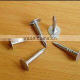 Large Flat Head Clout Nail Roofing Nail for Africa thumbnail-4