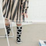 SK1021 Korean Big Dot Baby Socks Cotton Children Socks thumbnail-3
