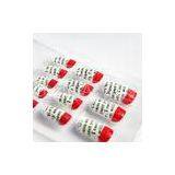 Glitter Red Tip French Tip Fake Nails With English Word , False Fingernails thumbnail-1