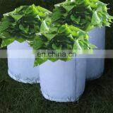 Eco-friendly Felt Grow Bags for Plants thumbnail-1