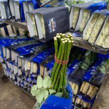 Natural Fresh China Rose Bouquet Fresh Cut Flower Best Quality Grade a Decorative 20PCS/Bundle thumbnail-4