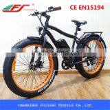 FJ-TDE07, 500w fujiang green power charger electric bikes