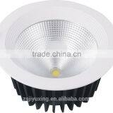 COB Down Light