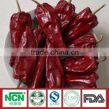 Tianying Chilli Original From China thumbnail-2