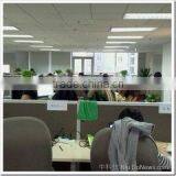 Ningbo Fly Imp. & Exp. Co., Ltd. company overview - view 3 thumbnail