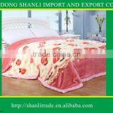 100%Polyester Raschel Blanket thumbnail-1