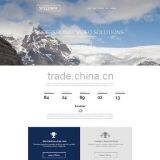 Web Design Professional