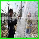 HDPE Hail Netting Anti Hail Netting Plastic Anti-hail Nets thumbnail-4