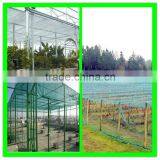 Suntex Virgin HDPE Anti-insect Mesh Netting for Cultivation of Flowers thumbnail-3
