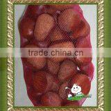 Good Quality Dried Chestnut thumbnail-1