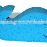 Animals Sponge