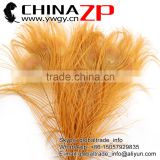 ZPDECOR Crafts Factory Leading Supplier Wholesale Cheap Full Eye Dyed Gold Peacock Tail Feathers