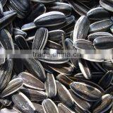 Chinese Black Sunflower Seed thumbnail-6