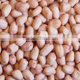 2012 New Crop Baisha Peanut Kernels in China thumbnail-1