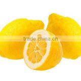 Citrus Aurantium Extract 98% Limonin thumbnail-3