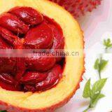 Anti-Wrinkle,Anti-Puffiness,Firming,Dark Circles,Anti-Aging, Remove Melasma Feature From Gac Fruit Oil thumbnail-3