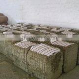 Senna Leaf thumbnail-2