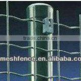 Holland Wire Mesh (garden Fence)