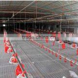 Poultry Automatic Feeding System/Automatic Poultry Feeding And Drinking System thumbnail-3