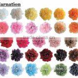 Pretty and Beautiful Big Rose Flower Preserved Flowers for Flower Arrangement , Arrangement Materials Also Available thumbnail-3