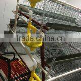 Wholesale Small Animal Cages for Automatic Chicken Cage thumbnail-4
