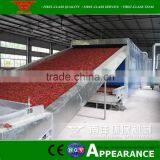 Nanyang Manufacturer Directly Supplying Latest and Hot Cleaning Air Continuous Medlar Mesh Belt Dryer thumbnail-5
