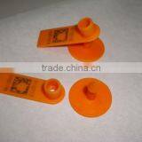 Ear Tag thumbnail-1