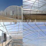 UV Blocking Polycarbonate Greenhouse Farm Sheet (Pearly GREEN) thumbnail-3