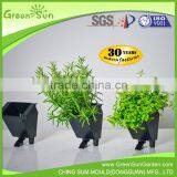 2017 Hot Sale Real Plants Living Wall Plastic Vertical Garden Green Wall thumbnail-2