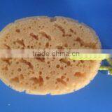 Natural Seaweed Bath Sponge/ Algae Bath Sponge With a Suction Cup thumbnail-3