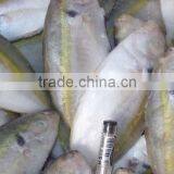 Health Food Shops of Horse Mackerel thumbnail-1